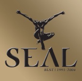 Seal: Best 1991 - 2004 artwork