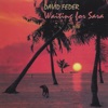 David Feder - Sal-Agua