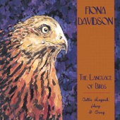 Fiona Davidson - The Treasure of Darkness