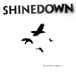 The Sound of Madness - Shinedown