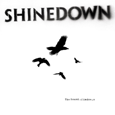 The Sound of Madness - Shinedown