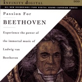 Passion for Beethoven - The Immortal Music of Ludwig Van Beethoven artwork