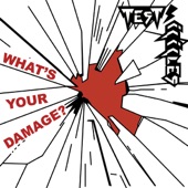 Test Icicles - What's Your Damage? - Braxe/Falke Radio Edit