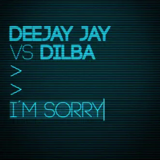 I'm Sorry (Radio Version) by Deejay Jay & Dilba song reviws