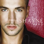 Shayne Ward, 2006