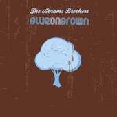 The Abrams Brothers - Nashville Skyline Rag