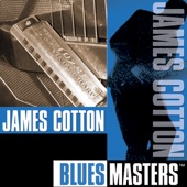 Blues Masters artwork