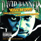 Mississippi - The Screwed and Chopped Album