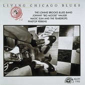 Johnny "Big Moose" Walker - Sunnyland Blues