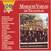 Serie 20 Éxitos: Mariachi Vargas de Tecalitlán artwork