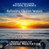 David & Steve Gordon Natural Elements - Relaxing Ocean Waves: Point Reyes, California