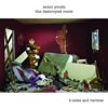 The Destroyed Room (B-Sides and Rarities), 2006