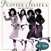 The Pointer Sisters - Don't It Drive You Crazy