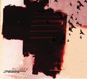 There Ain't No Fool in Ferguson - EP