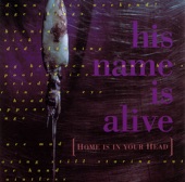 His Name Is Alive - Man On Silver Mountain