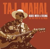 Taj Mahal - Blues With A Feeling Featuring Sonny Rhodes