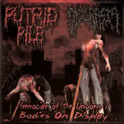 Dyscrasia / Putrid Pile - Putrid Pile