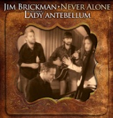 Never Alone (feat. Hillary Scott & Lady Antebellum) - Single