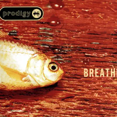 Breathe - The Prodigy