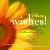 Disney Wishes!, 2005