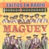 Exitos en Radio