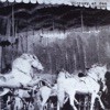Carousel