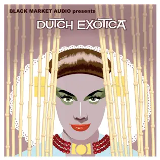 ladda ner album Download Various - Dutch Exotica album