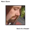 Soul of a Harper album lyrics, reviews, download