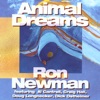 Animal Dreams