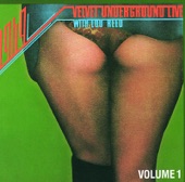 1969: Velvet Underground Live, Vol. 1