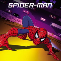 Spider-Man - Spider-Man (The New Animated Series), Season 1 artwork