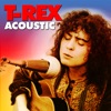 T. Rex - I Love to Boogie