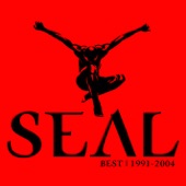 Seal Best Remixes 1991-2005 artwork