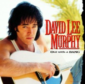 David Lee Murphy - Dust on the Bottle
