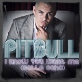 Pitbull - I Know You Want Me (Calle Ocho) (More English Extended Mix)