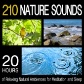 210 Nature Sounds: 20 Hours of Relaxing Natural Ambiences for Meditation and Sleep artwork