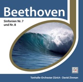 Symphony No. 8 in F Major, Op. 93: I. Allegro Vivace e con Brio artwork