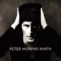 Ninth - Peter Murphy