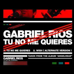 Tu No Me Quieres - Single - Gabriel Rios