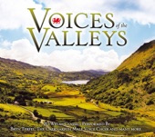 Voices of the Valleys artwork