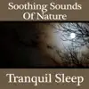 Stream & download Soothing Sounds of Nature: Tranquil Sleep