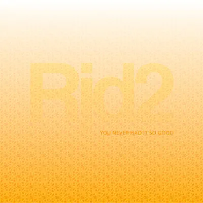 You Never Had It So Good - Single - RJD2