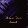 Chicago Blues Council, Vol. 3