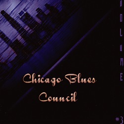 Chicago Blues Council - Beautiful Lady