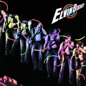 Fooled Around and Fell in Love by Elvin Bishop