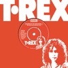 T. Rex - Telegram Sam