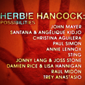 Itunescharts Net Don T Explain Feat Damien Rice Lisa Hannigan By Herbie Hancock French Songs Itunes Chart