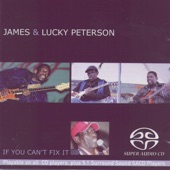 James And Lucky Peterson - Never Take Sand To The Beach