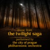 Music from The Twilight Saga (Tribute Album)