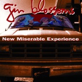 Gin Blossoms - Found Out About You